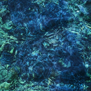  |  Vinyl LP | Ichiko Aoba - Luminescent Creatures (LP) | Records on Vinyl