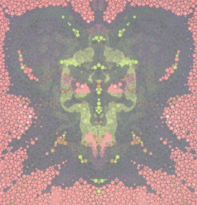  |   | Dangerdoom - Mouse & the Mask (2 LPs) | Records on Vinyl
