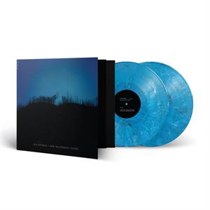  |   | Lux Interna - New Wilderness Gospel (2 LPs) | Records on Vinyl