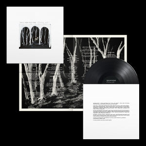  |  Vinyl LP | These New Puritans - Crooked Wing (LP) | Records on Vinyl