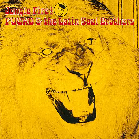 Pucho & Latin Soul Brothe - Jungle Fire |  Vinyl LP | Pucho & Latin Soul Brothe - Jungle Fire (LP) | Records on Vinyl