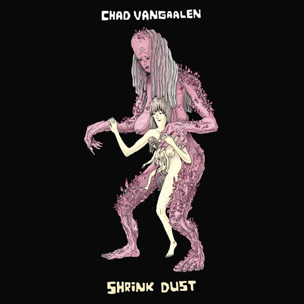 Chad Vangaalen - Shrink Dust |  Vinyl LP | Chad Vangaalen - Shrink Dust (LP) | Records on Vinyl