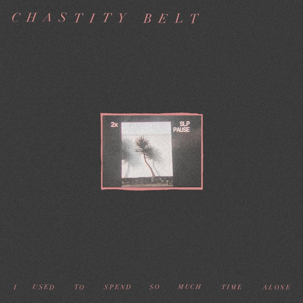 Chastity Belt - I Used To Spend So Much.. |  Vinyl LP | Chastity Belt - I Used To Spend So Much.. (LP) | Records on Vinyl