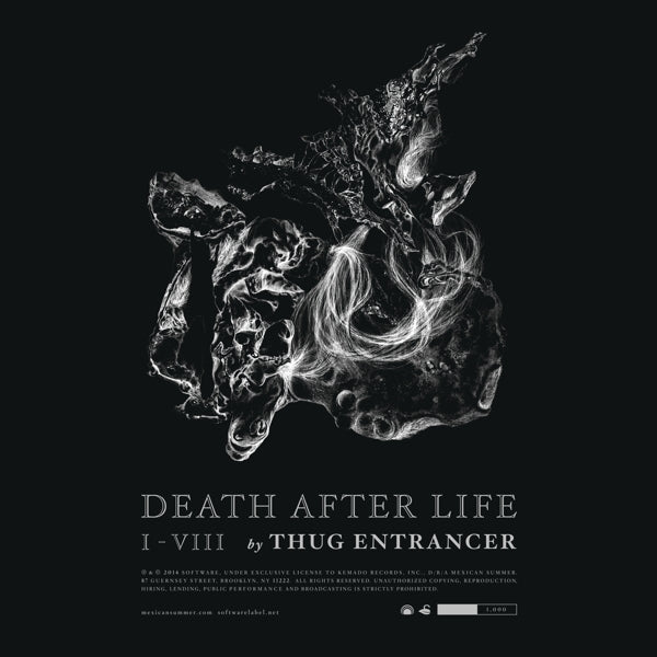 Thug Entrancer - Death After Life |  Vinyl LP | Thug Entrancer - Death After Life (2 LPs) | Records on Vinyl