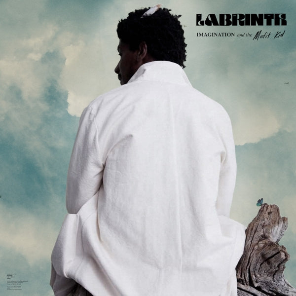  |  Vinyl LP | Labrinth - Imagination & the Misfit Kid (LP) | Records on Vinyl