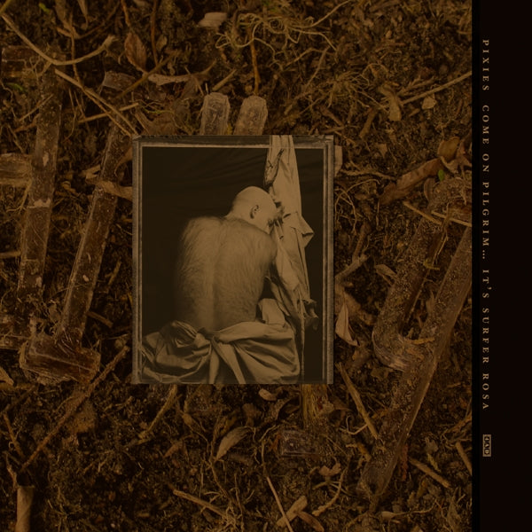 Pixies - C'mon..  |  Vinyl LP | Pixies - C'mon Pilgrim...It's Surfer Rosa (3 LPs) | Records on Vinyl