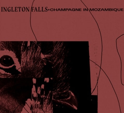  |  Vinyl LP | Ingleton Falls - Champagne In Mozambique (LP) | Records on Vinyl