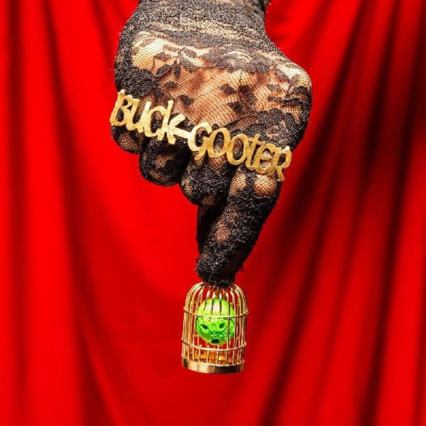 Buck Gooter - Head In A..  |  Vinyl LP | Buck Gooter - Head In A..  (LP) | Records on Vinyl