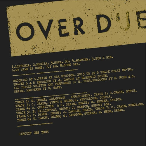 Circuit Des Yeux - Overdue |  Vinyl LP | Circuit Des Yeux - Overdue (LP) | Records on Vinyl