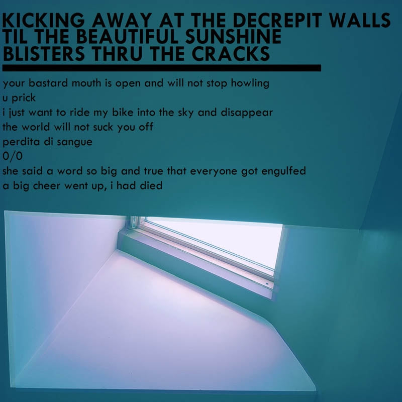  |  Vinyl LP | Mxlx - Kicking Away At the Decrepit Walls Til the Beautiful (LP) | Records on Vinyl