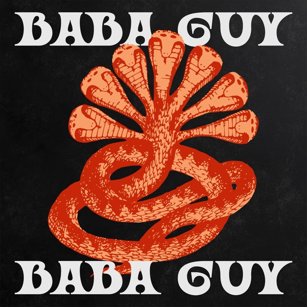  |  Preorder | Zwangere Guy - Baba Guy (LP) | Records on Vinyl