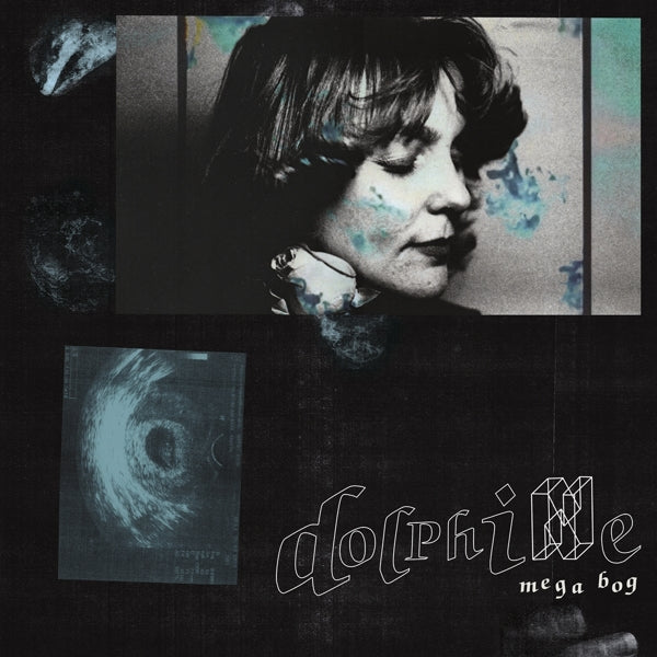  |  Vinyl LP | Mega Bog - Dolphine (LP) | Records on Vinyl