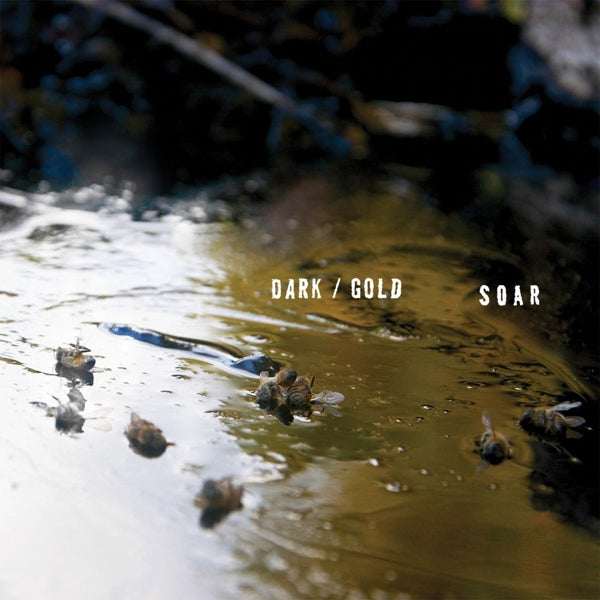 Soar - Dark / Gold  |  Vinyl LP | Soar - Dark / Gold  (LP) | Records on Vinyl