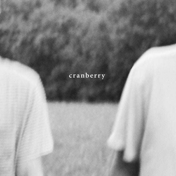  |  Vinyl LP | Hovvdy - Cranberry (LP) | Records on Vinyl