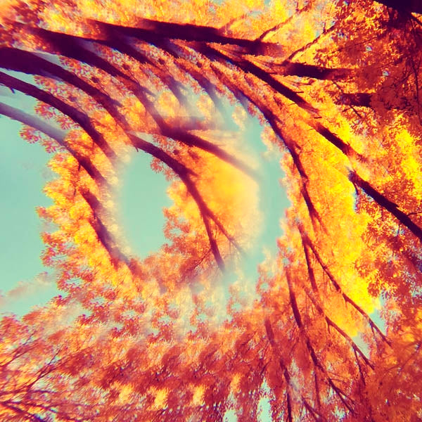 A Hawk And A Hacksaw - Forest Bathing |  Vinyl LP | A Hawk and a Hacksaw - Forest Bathing (LP) | Records on Vinyl