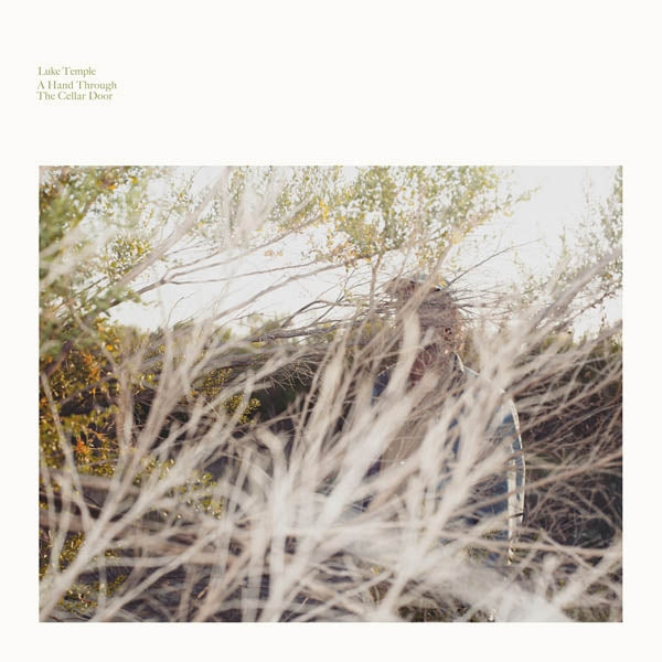 Luke Temple - A Hand Through The.. |  Vinyl LP | Luke Temple - A Hand Through The.. (LP) | Records on Vinyl