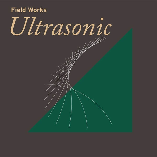 Field Works - Ultrasonic |  Vinyl LP | Field Works - Ultrasonic (LP) | Records on Vinyl