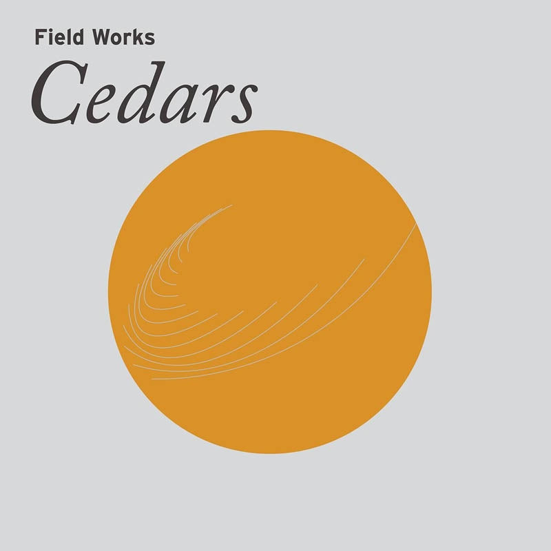 Field Works - Cedars |  Vinyl LP | Field Works - Cedars (LP) | Records on Vinyl