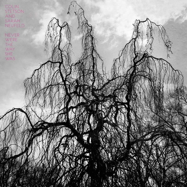 Colin Stetson - Never Were The Way She.. |  Vinyl LP | Colin Stetson - Never Were the Way She Was (LP) | Records on Vinyl