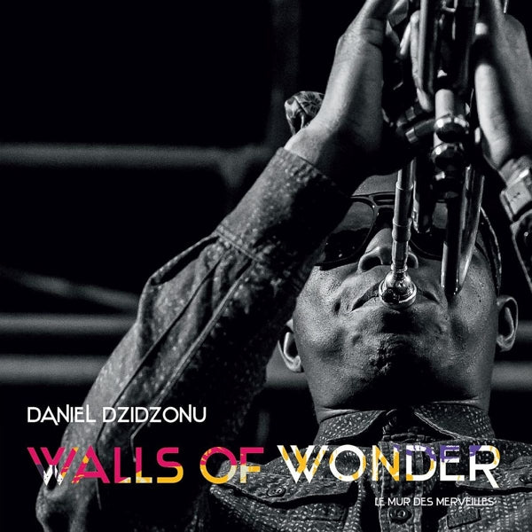  |  Vinyl LP | Daniel Dzidzonu - Walls of Wonder (LP) | Records on Vinyl