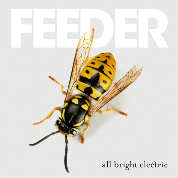 Feeder - All Bright..  |  Vinyl LP | Feeder - All Bright..  (2 LPs) | Records on Vinyl