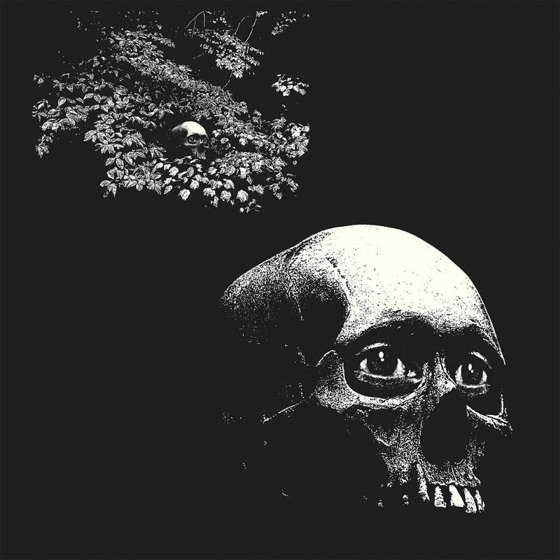 |  Vinyl LP | Osees - A Foul Form (LP) | Records on Vinyl