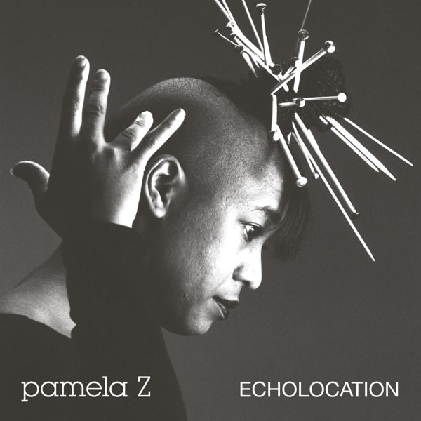  |  Vinyl LP | Pamela Z - Echolocation (LP) | Records on Vinyl