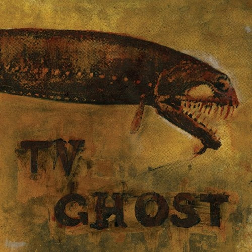 Tv Ghost - Cold Fish |  Vinyl LP | Tv Ghost - Cold Fish (LP) | Records on Vinyl