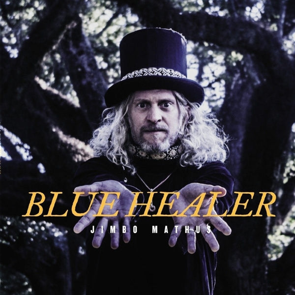 Jimbo Mathus - Blue Healer |  Vinyl LP | Jimbo Mathus - Blue Healer (LP) | Records on Vinyl