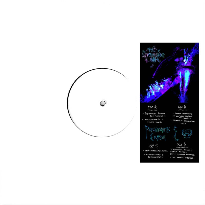  |  Vinyl LP | Ephemeron Loop - Psychonautic Escapism (2 LPs) | Records on Vinyl