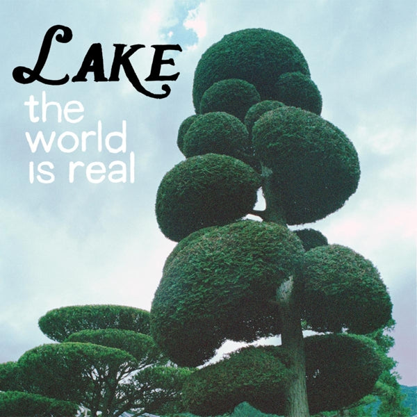 Lake - World Is Real |  Vinyl LP | Lake - The World is Real (LP) | Records on Vinyl