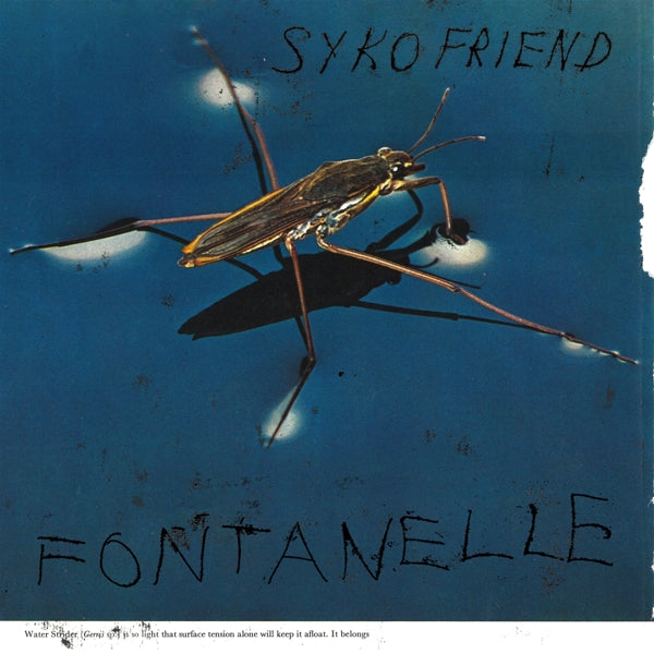 Syko Friend - Fontanelle |  Vinyl LP | Syko Friend - Fontanelle (LP) | Records on Vinyl