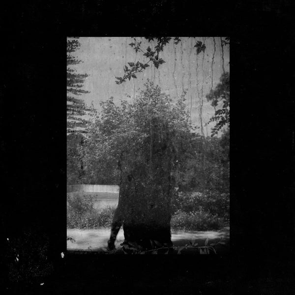 Grouper - Ruins |  Vinyl LP | Grouper - Ruins (LP) | Records on Vinyl