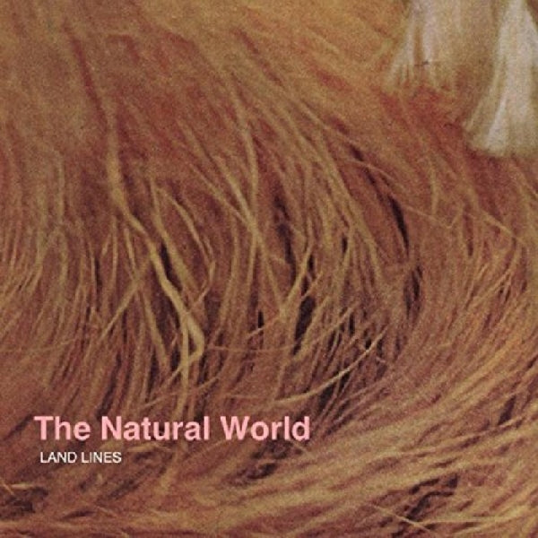 Land Lines - Natural World |  Vinyl LP | Land Lines - Natural World (LP) | Records on Vinyl