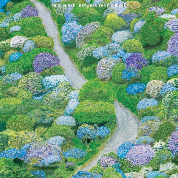  |  Vinyl LP | Fiddlehead - Between the Richness (LP) | Records on Vinyl