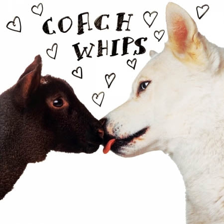 Coachwhips - Bangers Vs. Fuckers |  Vinyl LP | Coachwhips - Bangers Vs. Fuckers (LP) | Records on Vinyl