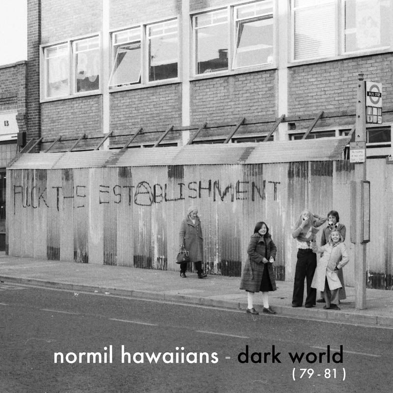 Normil Hawaiians - Dark World |  Vinyl LP | Normil Hawaiians - Dark World (LP) | Records on Vinyl