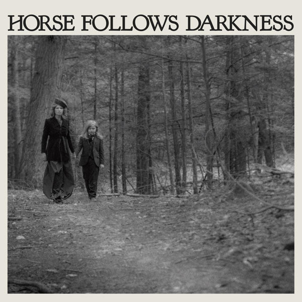 Delia Gonzalez - Horse Follows Darkness |  Vinyl LP | Delia Gonzalez - Horse Follows Darkness (LP) | Records on Vinyl
