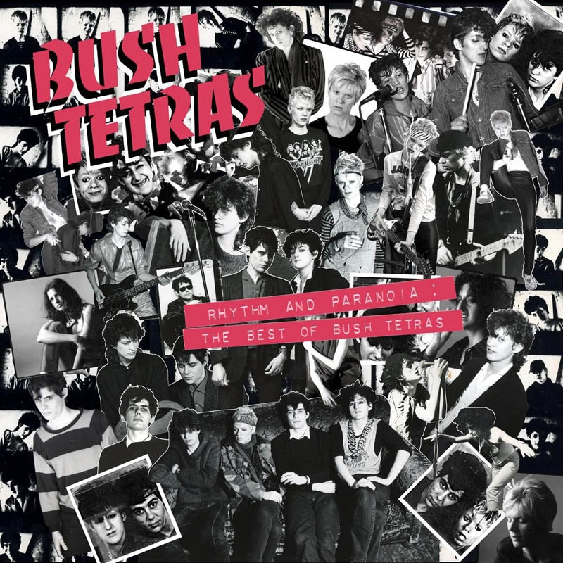  |  Vinyl LP | Bush Tetras - Rhythm and Paranoia: the Best of... (3 LPs) | Records on Vinyl