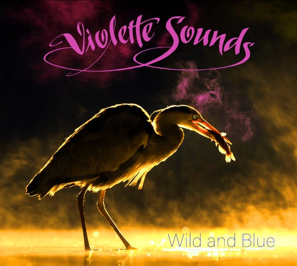 Violette Sounds - Wild And Blue |  Vinyl LP | Violette Sounds - Wild And Blue (LP) | Records on Vinyl