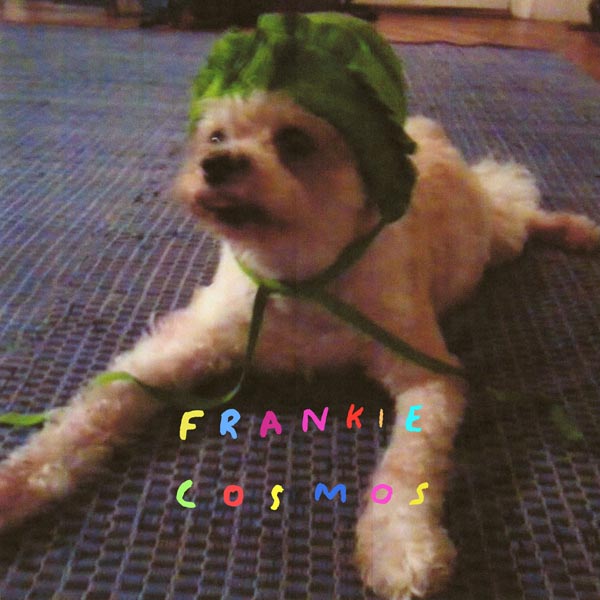 Frankie Cosmos - Zentropy  |  Vinyl LP | Frankie Cosmos - Zentropy  (LP) | Records on Vinyl
