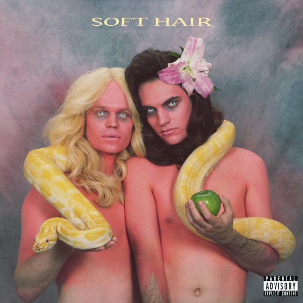 Soft Hair - Soft Hair  |  Vinyl LP | Soft Hair - Soft Hair  (LP) | Records on Vinyl