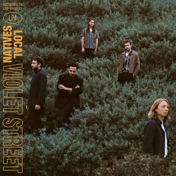 Local Natives - Violet Street |  Vinyl LP | Local Natives - Violet Street (LP) | Records on Vinyl