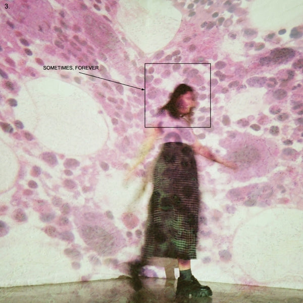  |  Vinyl LP | Soccer Mommy - Sometimes, Forever (LP) | Records on Vinyl