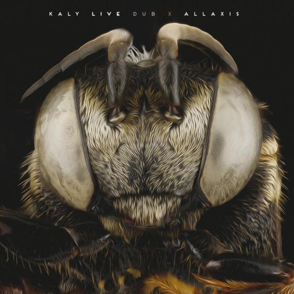  |  Vinyl LP | Kaly Live Dub - Allaxis (2 LPs) | Records on Vinyl