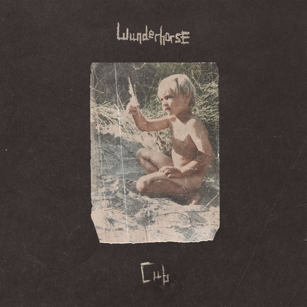  |  Vinyl LP | Wunderhorse - Cub (2 LPs) | Records on Vinyl