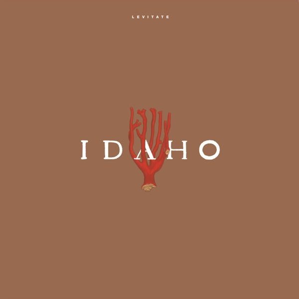 Idaho - Levitate  |  Vinyl LP | Idaho - Levitate  (LP) | Records on Vinyl