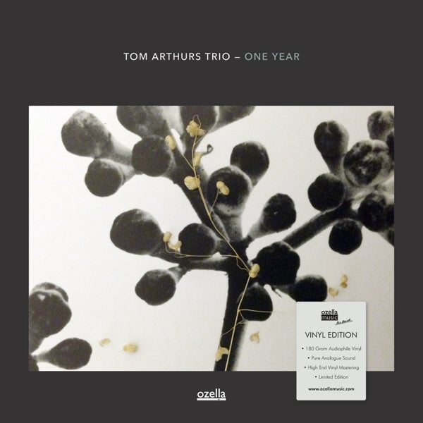 Tom Arthurs Trio - One Year |  Vinyl LP | Tom Arthurs Trio - One Year (LP) | Records on Vinyl