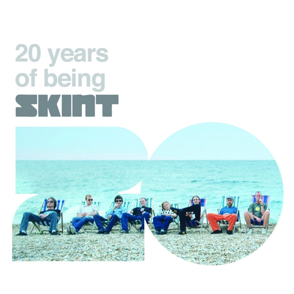 V/A - 20 Years Of Being Skint |  Vinyl LP | V/A - 20 Years Of Being Skint (4 LPs) | Records on Vinyl
