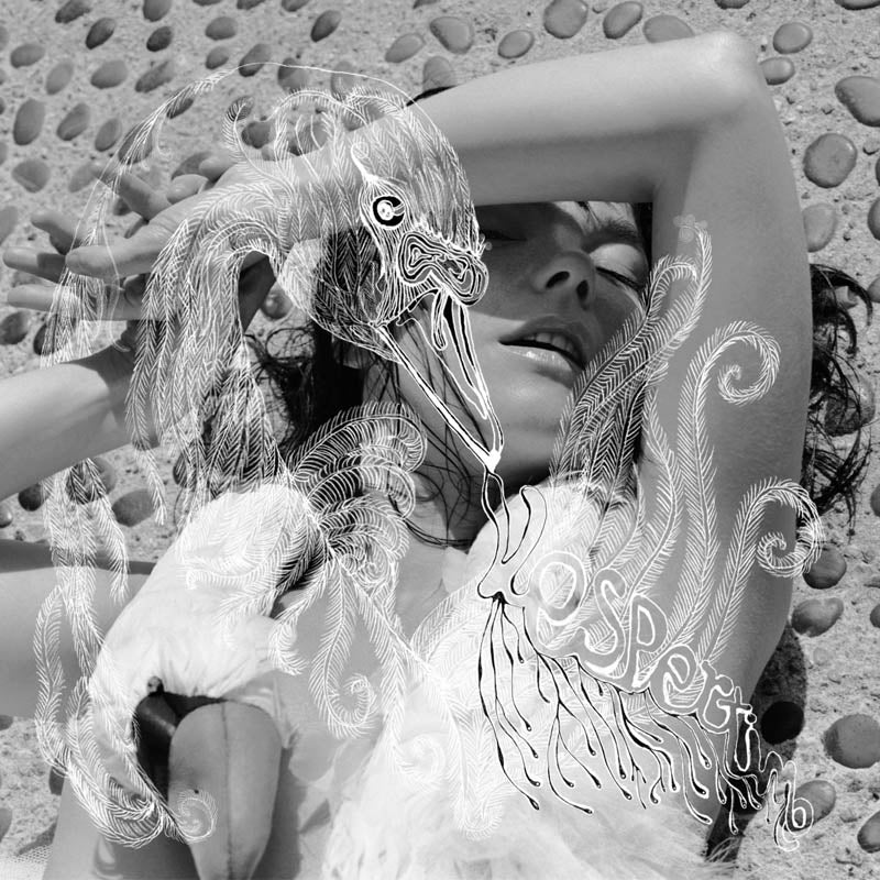  |  Vinyl LP | Bjork - Vespertine (2 LPs) | Records on Vinyl